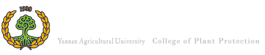 365英国上市公司官网
